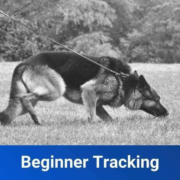 Beginner-Tracking