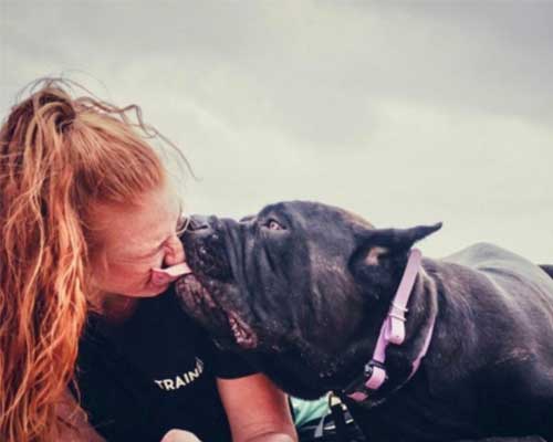 Off Leash K9 Training of Hampton Roads trainer kissed by big dog