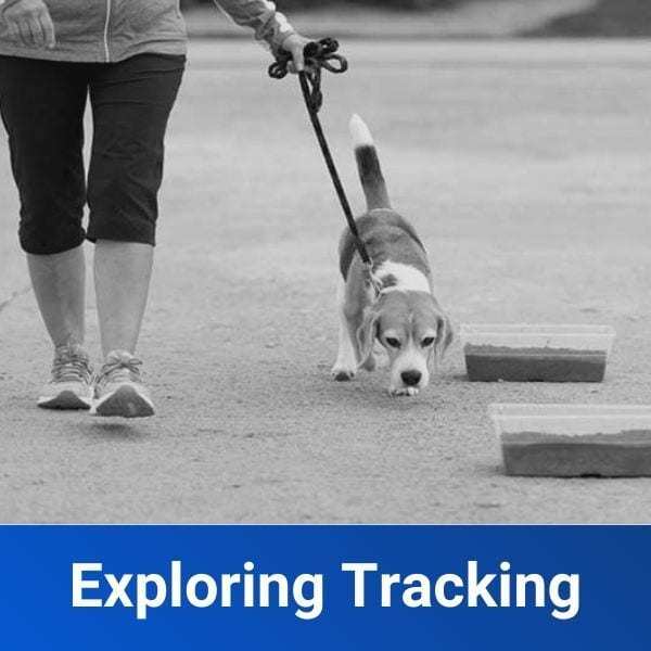 Exploring-Tracking