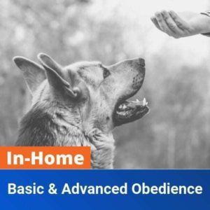 In-Home-Basic-Advanced