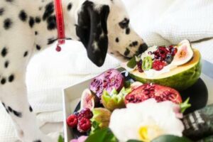 Paws Off! 5 Foods That Pose a Risk to Your Dog's Health