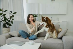 6 Dog Care Tips For Dog Parents | Image From Pexel