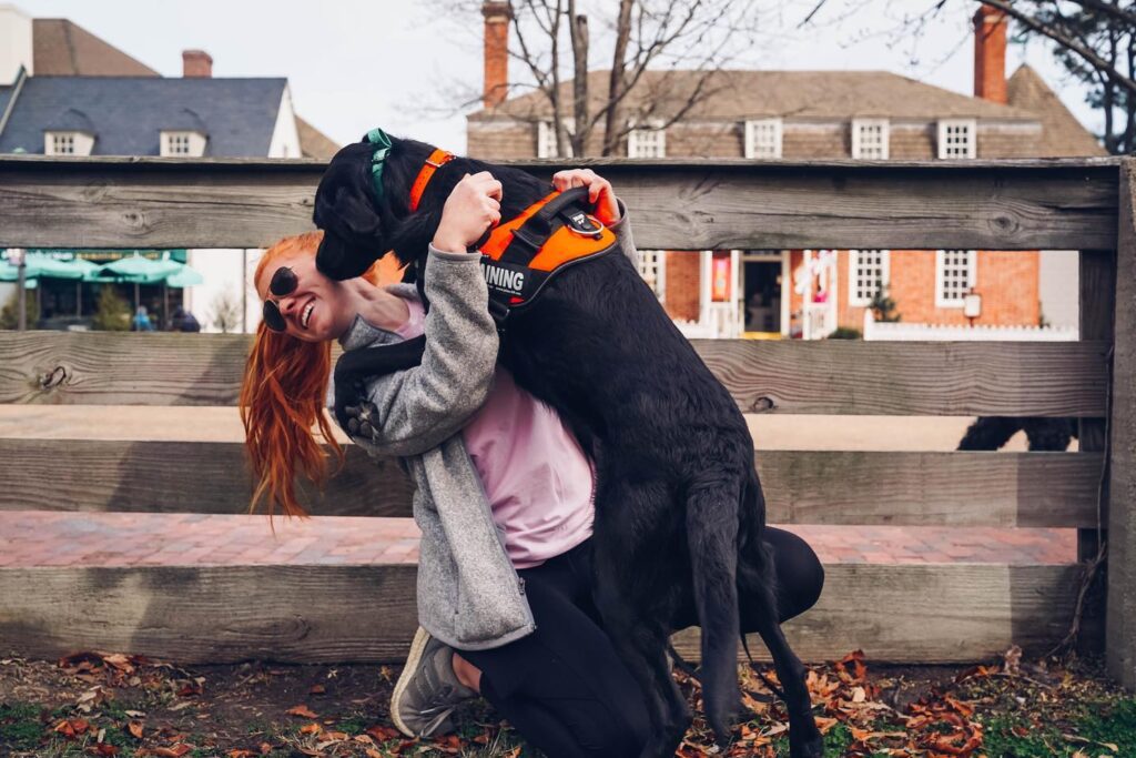Virginia Beach VA aggressive dog training with handler