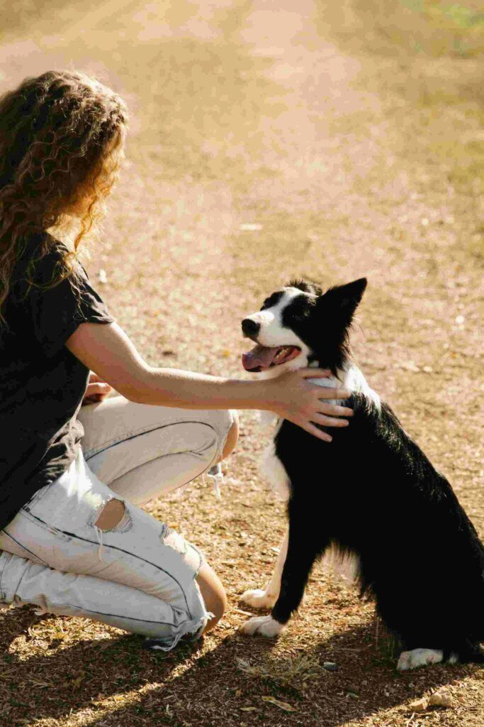 Woman and dog bonding during dog training Fox Hill Hampton VA