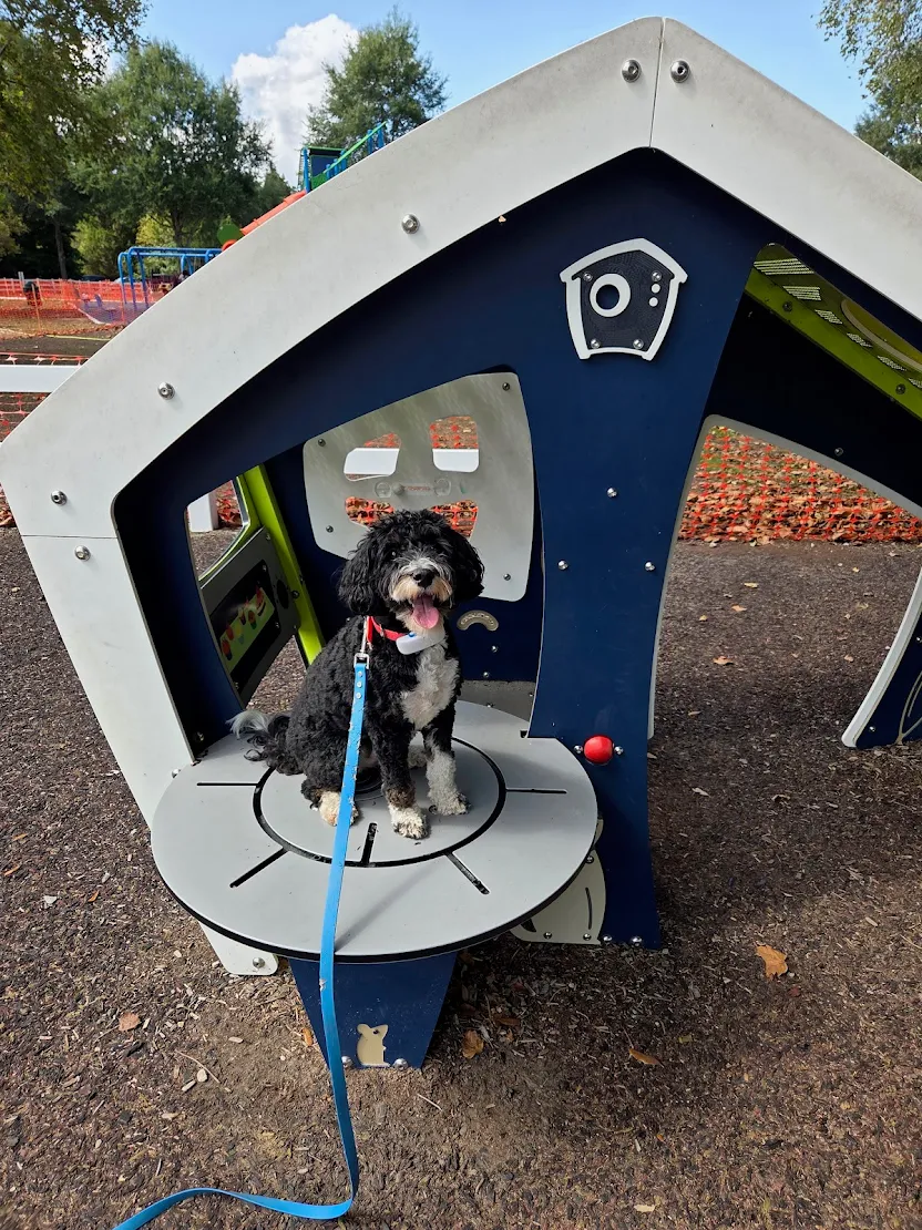 Therapy dog training Virginia Beach VA park practice